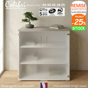 Armoire de bureau basse vitrée et bois, design, Colibri