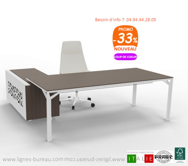 Bureau de Direction design prestigieux, moderne, Eucalyptus et blanc, Archi