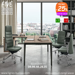 Bureau professionnel design moderne, retour et caisson, Orme, Five