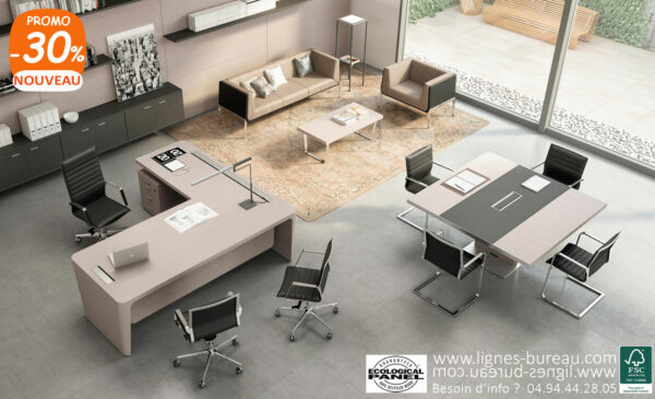 Mobilier direction luxueux Orme gris, bureau, table de réunion et canapés, Elysium