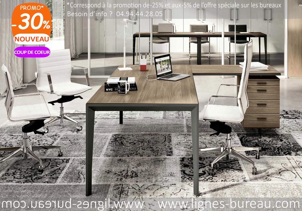 Tables de bureau design, Table bureau professionnel