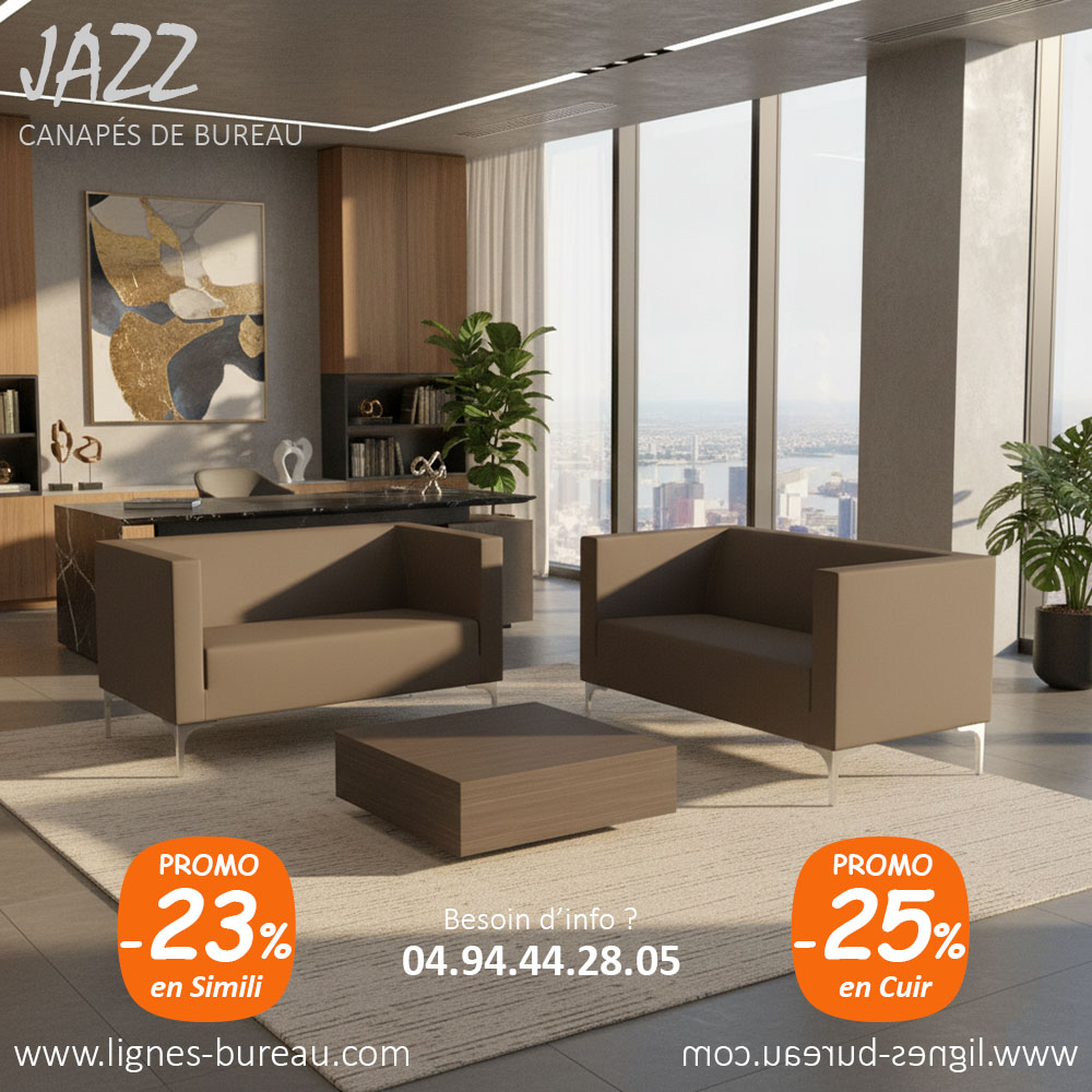 Canapé de bureau 2 personnes en cuir marron foncé, Jazz