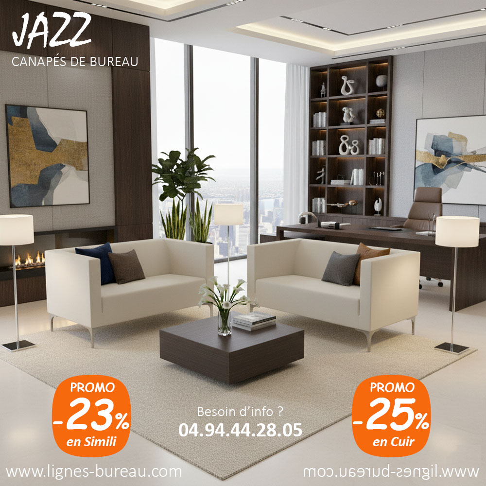 Canapé de bureau 2 places en cuir blanc, pour un accueil professionnel, Jazz