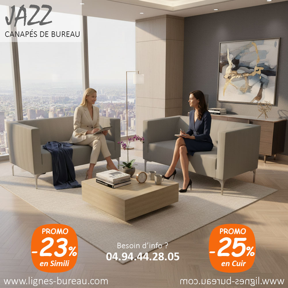 Canapé pour bureau de direction, 2 places, cuir gris clair, Jazz
