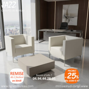 Fauteuil canapé 1 place design pour salle d’attente, cuir blanc, Jazz