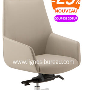 Fauteuil direction cuir haut de gamme de couleur Taupe, Diplomate