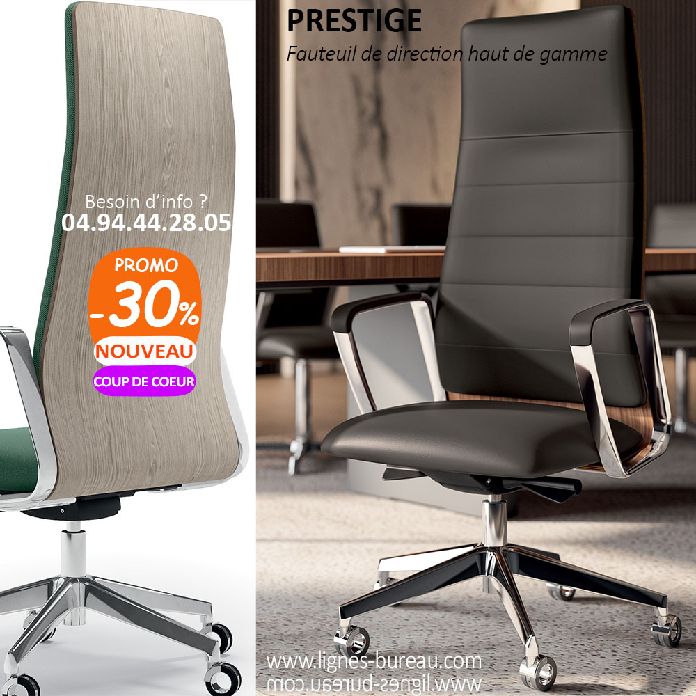 Fauteuil Direction Cuir luxe au design séduisant, en promo, Eve - Mobilier de  bureau professionnel