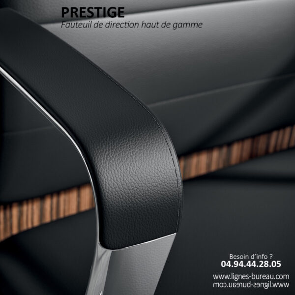 Luxueux accoudoirs du fauteuil direction avec pad cuir, Prestige