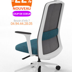 Fauteuil de bureau ergonomique, design, accoudoirs réglables 1D, têtière, ERGON. Structure blanche, maille noire, tissu C05 293.