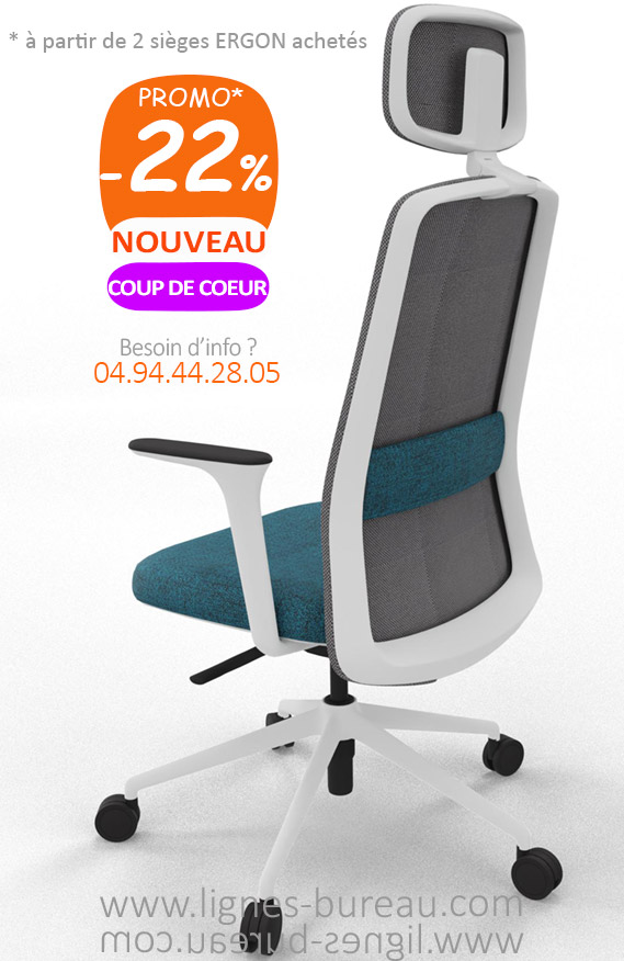 Fauteuil de bureau Lexzurn Chaise de Bureau Ergonomique avec