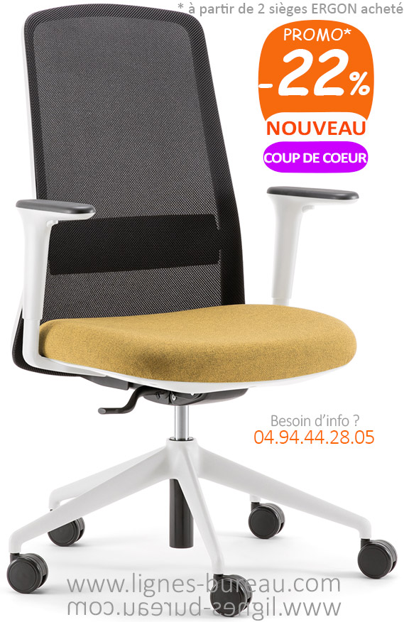 Fauteuil de bureau ergonomique ERWAN