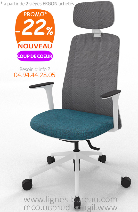 Fauteuil de bureau ergonomique, design, accoudoirs réglables synchron, ERGON