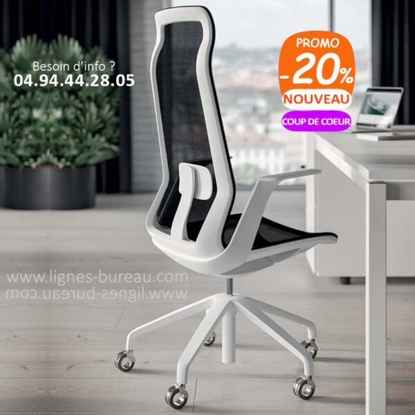 Fauteuil de bureau ergonomique, design, blanc et noir, Aero