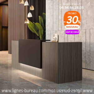 Banque d’accueil design en bois, contemporaine et luxueuse, Bench