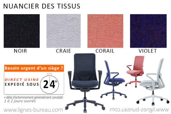 Nuancier du fauteuil de bureau professionnel, confortable, Body