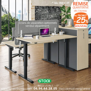 Bureau motorisé assis debout professionnel et rangement, Érable et Carbone, Ergo