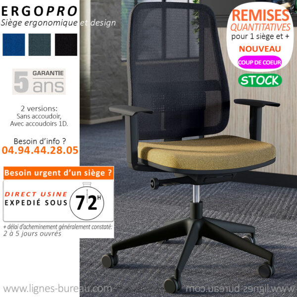 Fauteuil de bureau ergonomique design professionnel, ERGOPRO