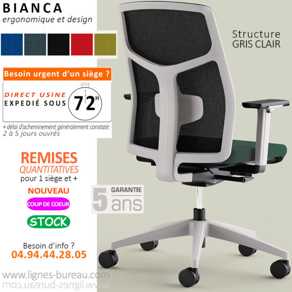 Chaise de bureau gris clair avec accoudoirs réglables, Bianca
