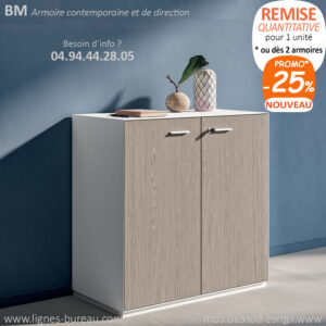 Armoire de bureau basse design, de direction, portes Orme gris et corps blanc, BM