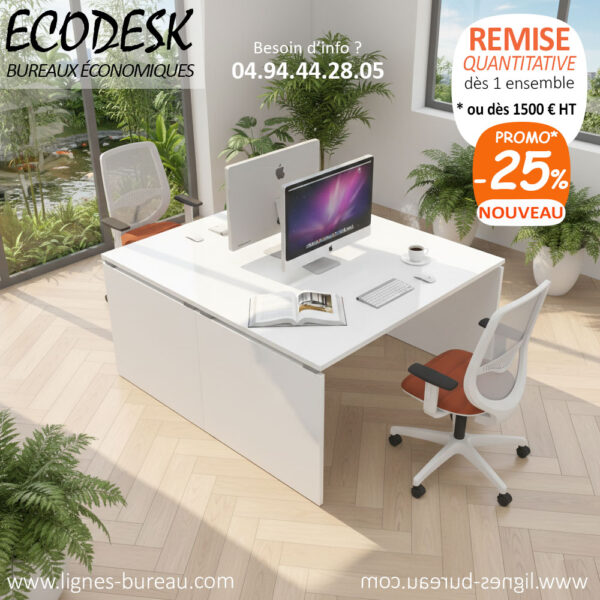 2 bureaux pas chers face à face pour Open Space, Ecodesk, blancs
