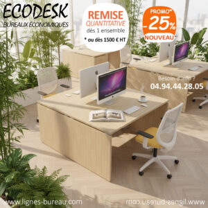 Bureaux 2 personnes pas chers pour Open Space, Ecodesk, Chêne