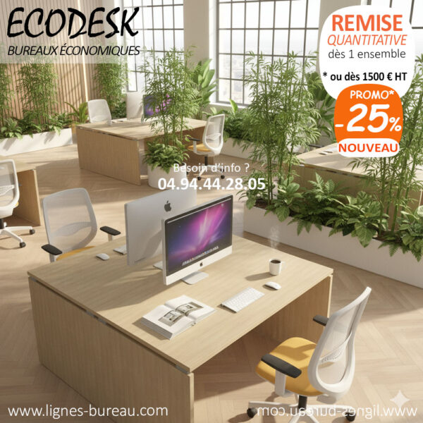 Ensemble de bureaux duo pas chers pour Open Space, Ecodesk, Chêne