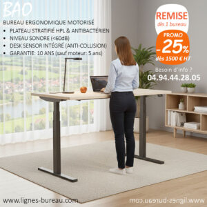 Bureau ergonomique assis debout professionnel motorisé, Sable et noir, Bao