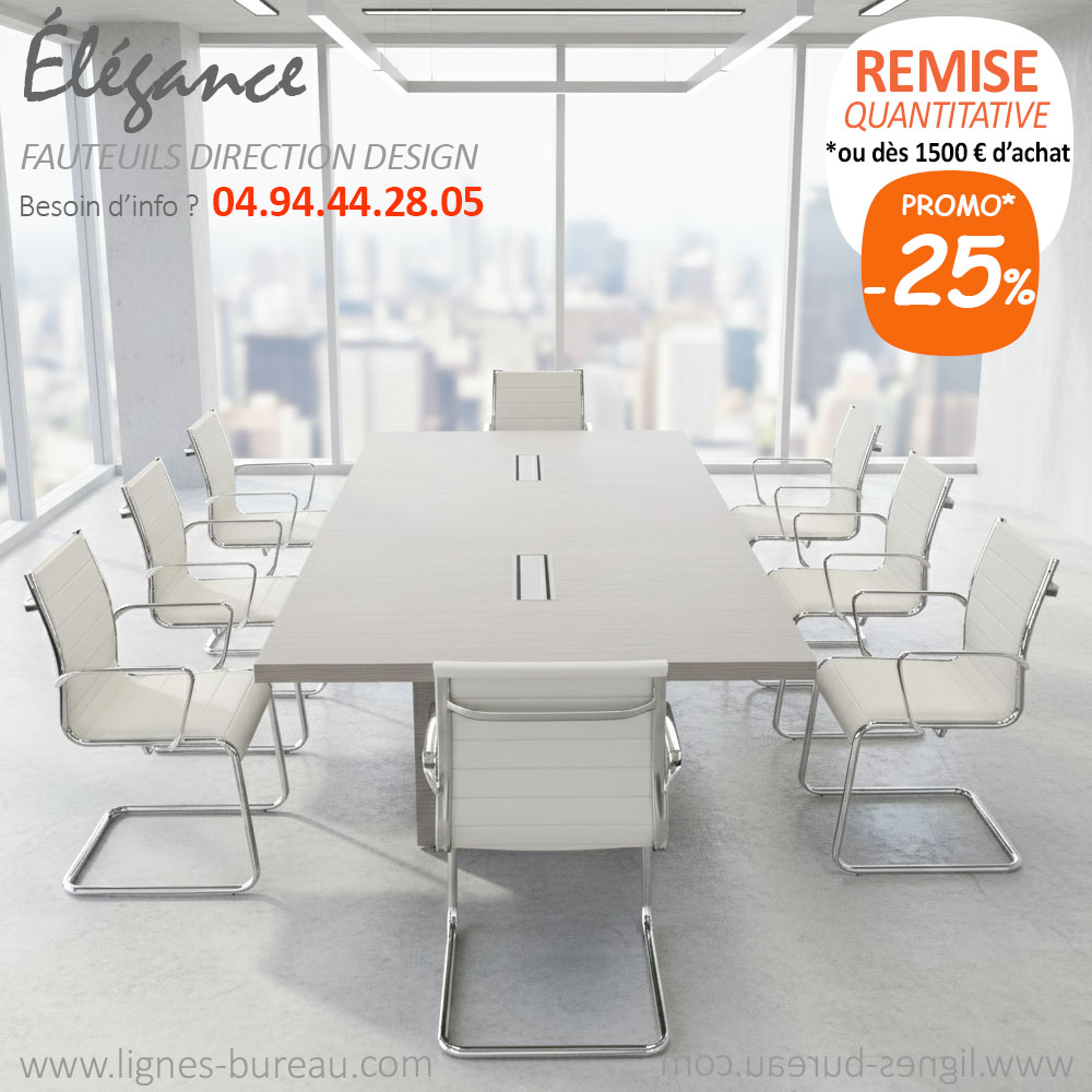 Fauteuils en cuir blanc design et table de réunion, Élegance