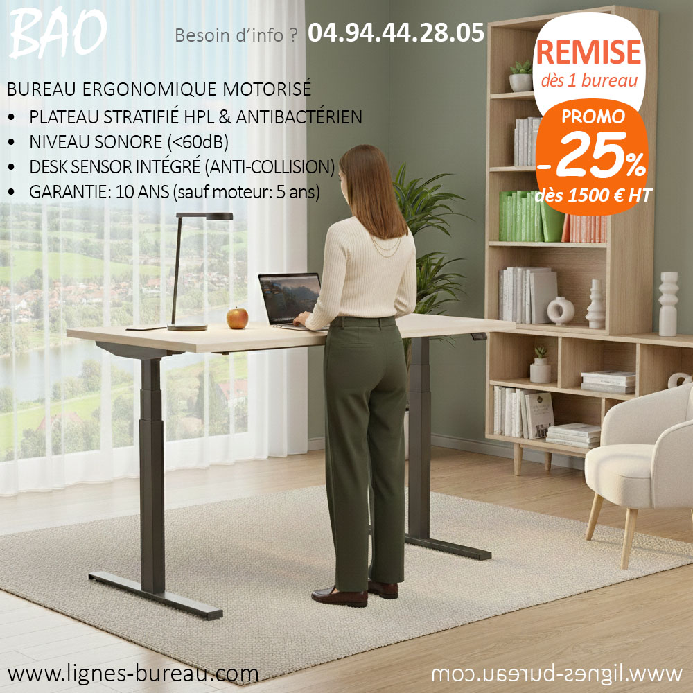 Bureau Flex Office Ergonomique Assis Debout à Mémorisation, Sable et noir, Bao