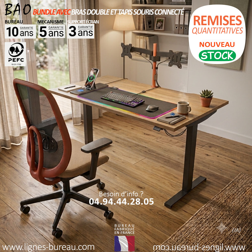 Bureau électrique avec support à bras articulés et platines Vesa pour 2 écrans et tapis souris, BAO