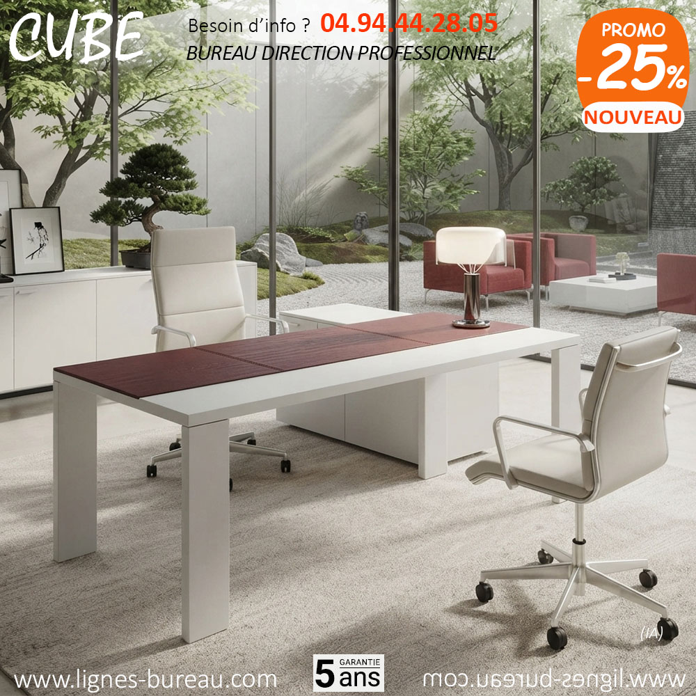 Bureau chic et moderne blanc et cuir rouge, de direction, CUBE