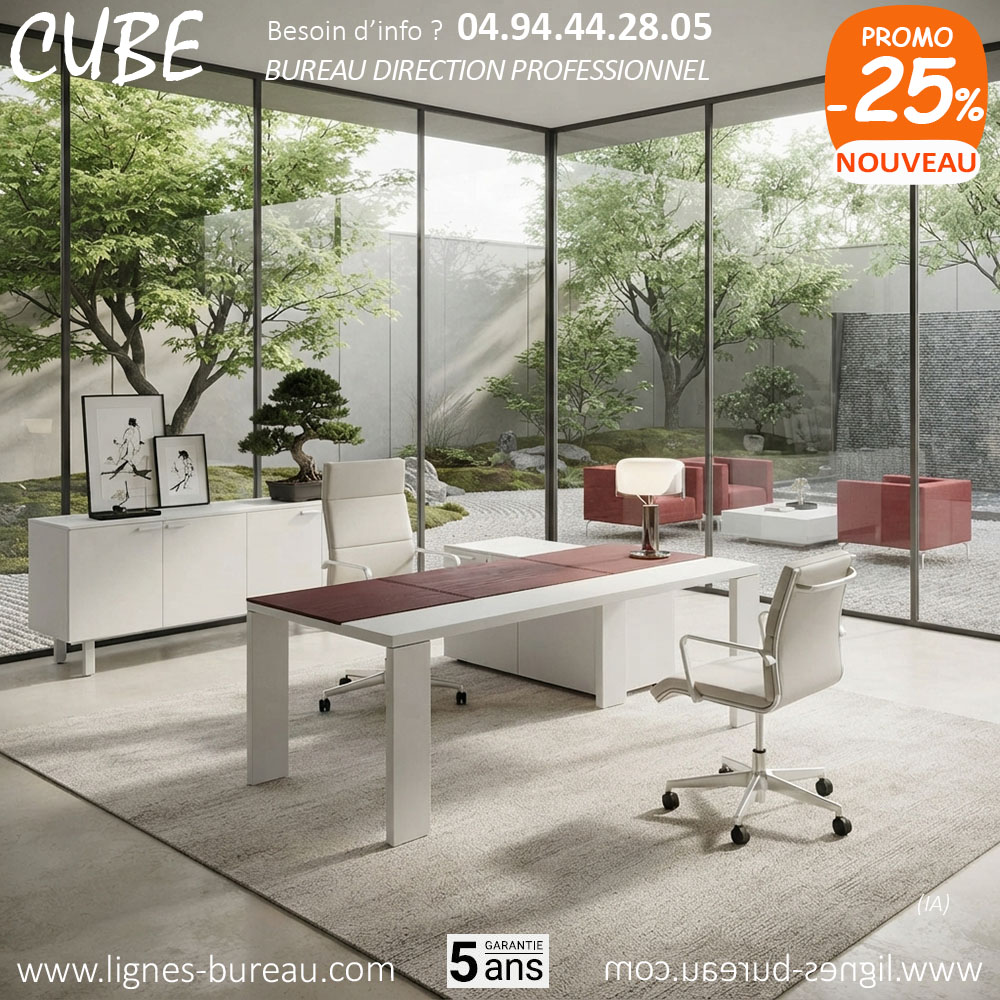 Bureau majestueux et contemporain blanc et insert en cuir rouge, pour dirigeant, CUBE