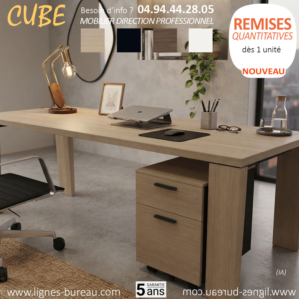 Caisson de bureau mobile 2 tiroirs dont 1 pour dossier suspendu, CUBE